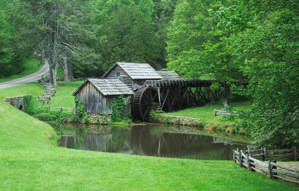 Nature entry 1